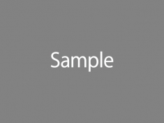 sample_600×450